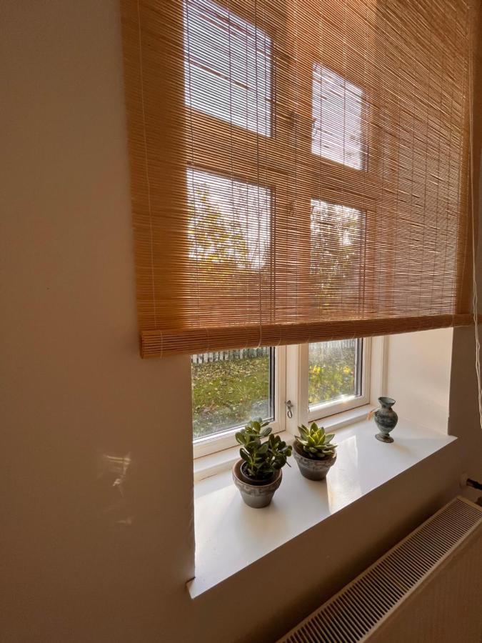 مبيت وإفطار Store Heddinge Jonas Hus - Munkgaard المظهر الخارجي الصورة